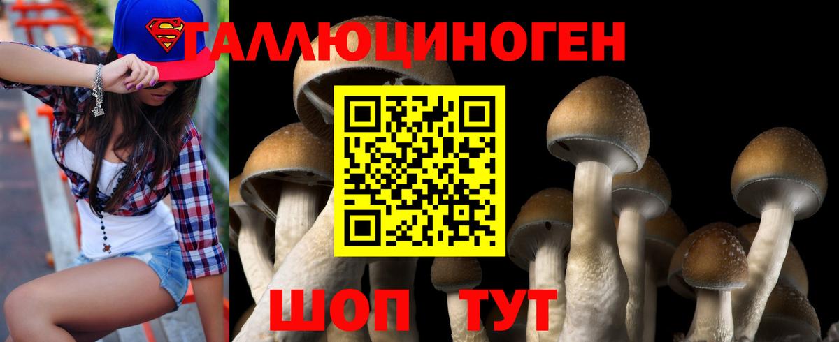 Галлюциногенные грибы GOLDEN TEACHER Новокубанск