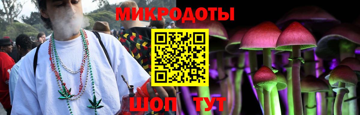 Псилоцибиновые грибы Psilocybine cubensis  Галлюциногенные грибы GOLDEN TEACHER  Новокубанск  Вход с VPN 